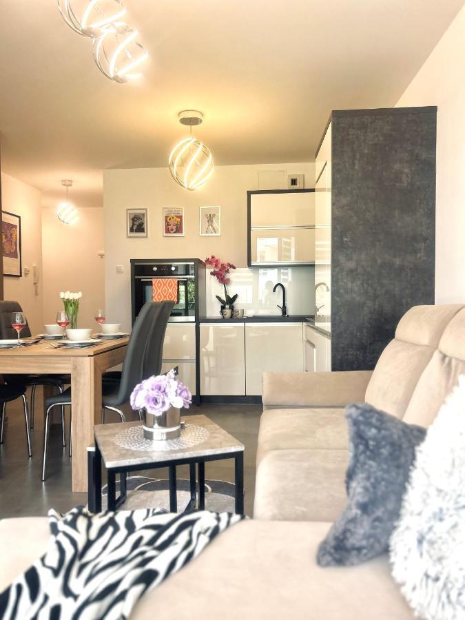 Downtownapartments Andy Air-Conditioned, Underground Parking Available Rzeszów Exteriör bild