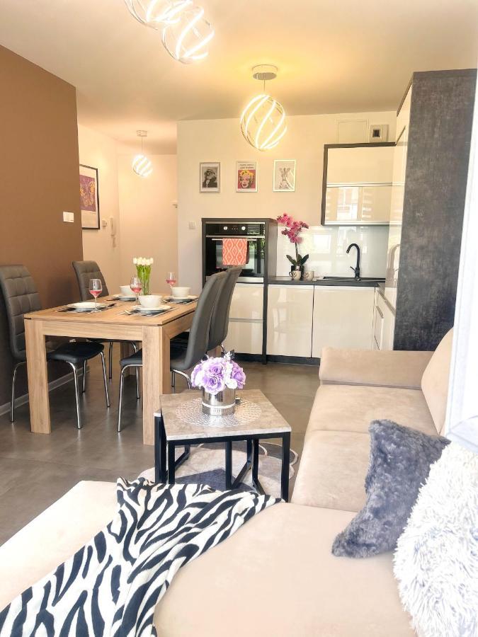 Downtownapartments Andy Air-Conditioned, Underground Parking Available Rzeszów Exteriör bild