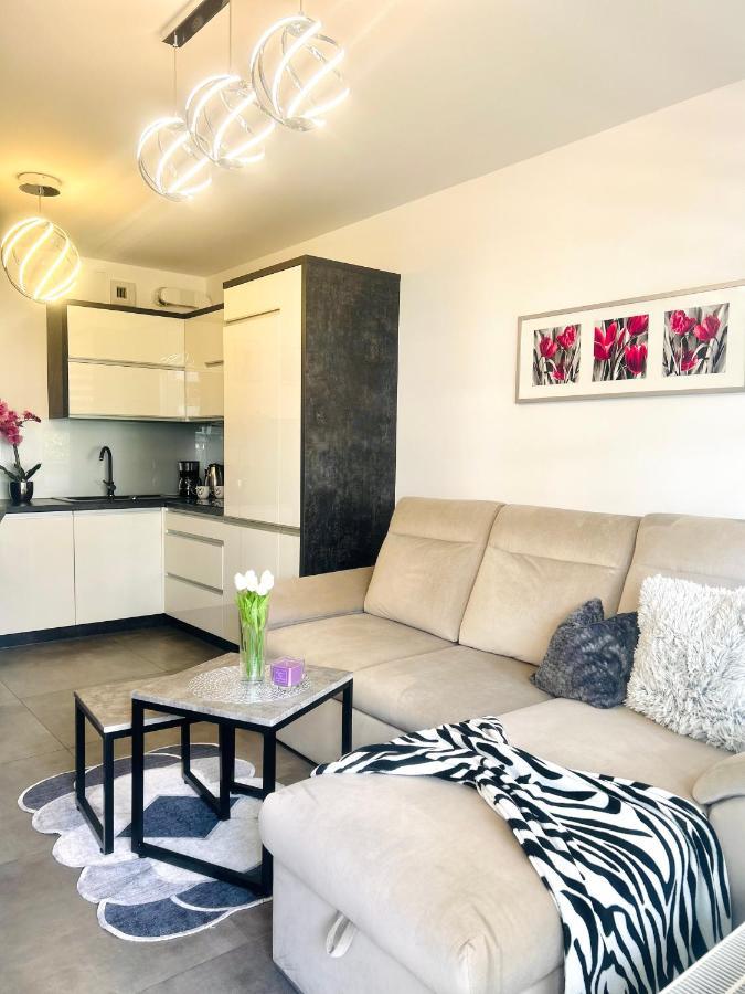 Downtownapartments Andy Air-Conditioned, Underground Parking Available Rzeszów Exteriör bild